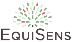 Equisens - Coaching pour professionels et particuliers